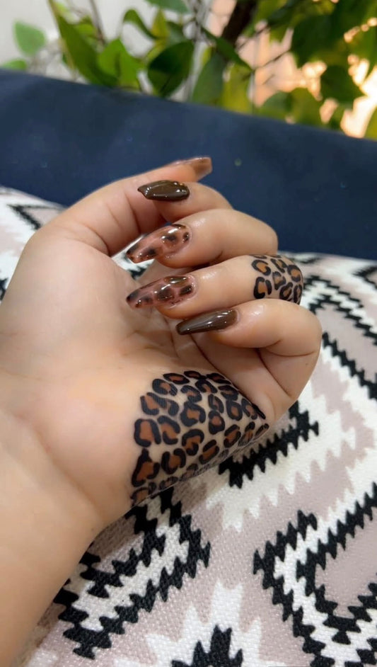 حنة شكل ٢٩